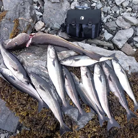 Fjord & Flame טרומסה