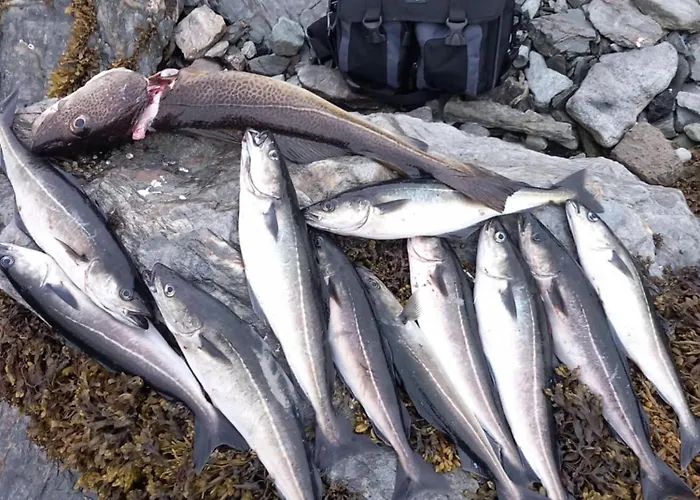 Fjord & Flame Tromsø