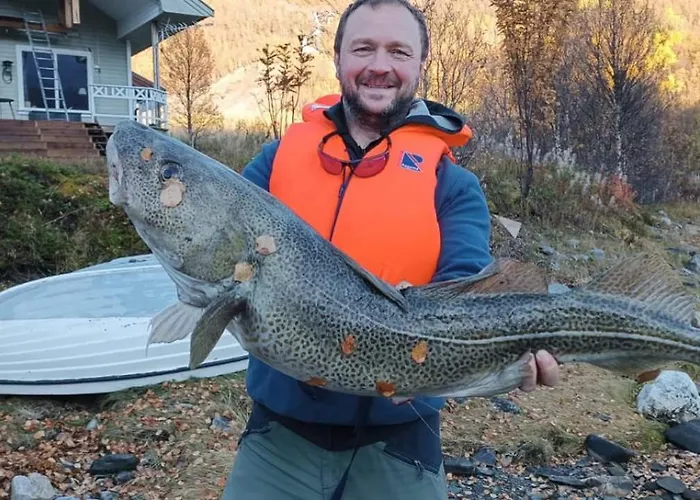 Casa de Férias Fjord & Flame